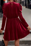 Velvet Frilled Dress | 2 Colors