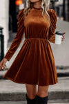 Velvet Frilled Dress | 2 Colors